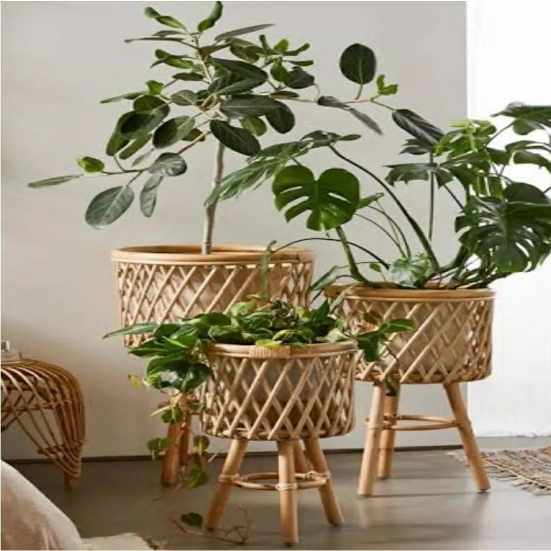 Bamboo Cane Planter